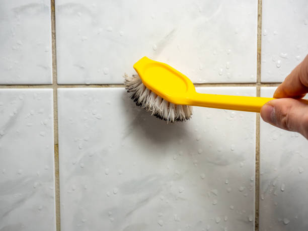 Best Black Mold Remediation in Turpin Hills, OH