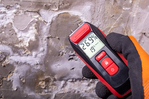 Best Black Mold Remediation in Turpin Hills, OH