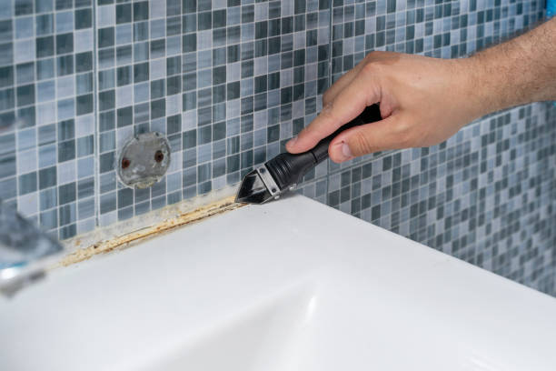 Best White Mold Remediation in Turpin Hills, OH