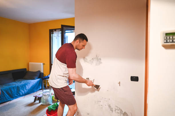 Best Health and Safety Mold Remediation in Turpin Hills, OH